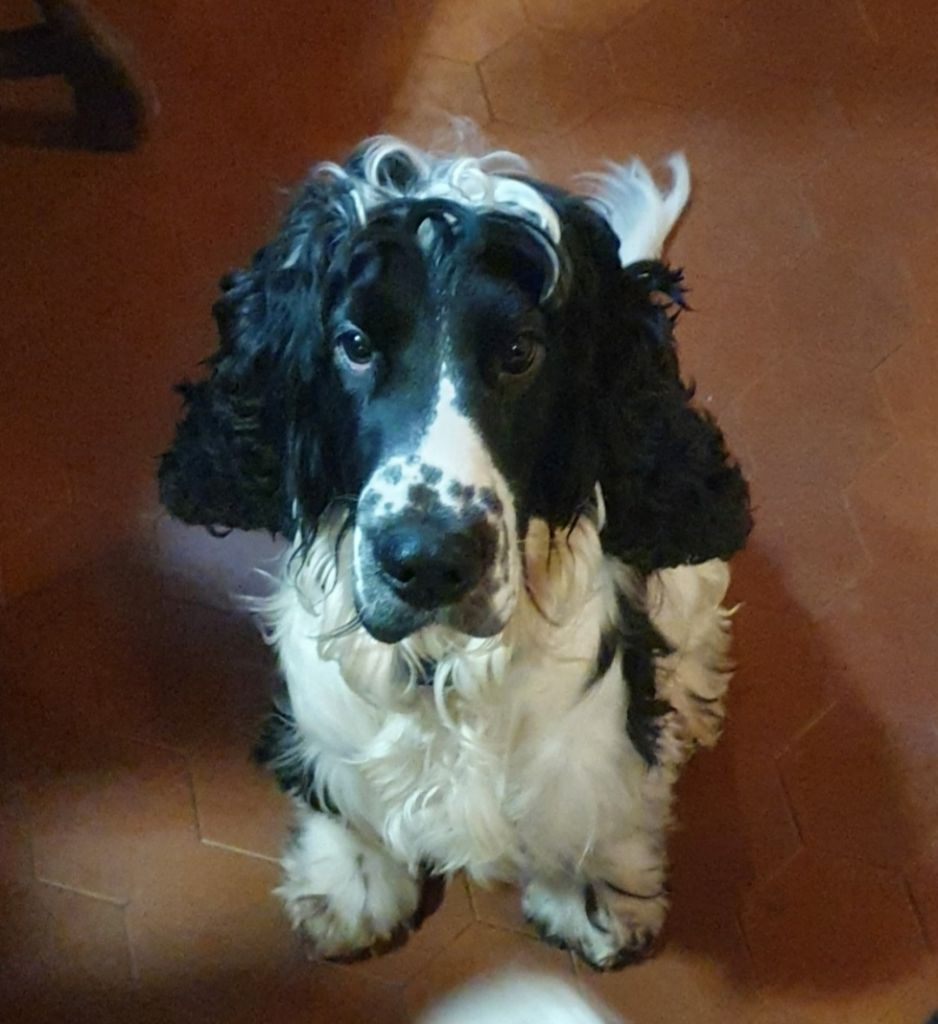 Pablo De L'étang Au Miroir