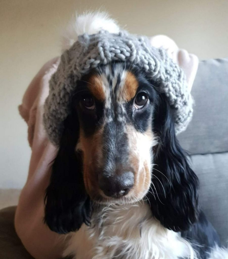 (Sans Affixe) Punky de l'etang au miroir